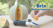 Guide to Brix Refractometer