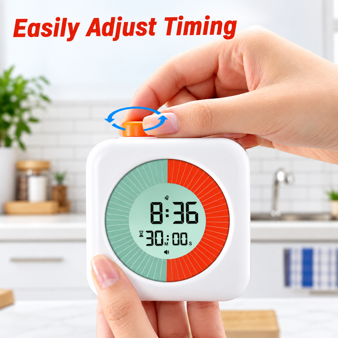 TIMER 8209